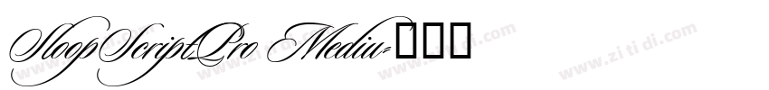 SloopScriptPro Mediu字体转换